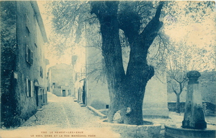 Le vieil orme et la rue Maréchal Foch