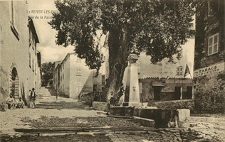 Le Revest-les-Eaux - Rue de la Paix  (le vieil orme et la fontaine)