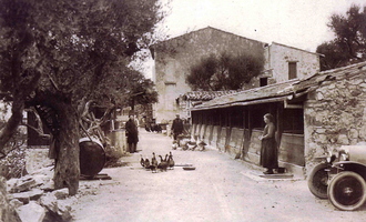La campagne Mazza vers 1900