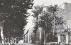 Dardennes (Var) - Avenue Jean-Bordino