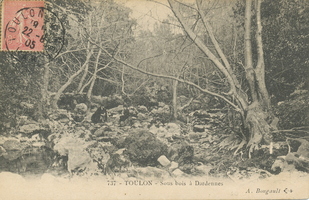 Toulon - Sous-Bois à Dardennes